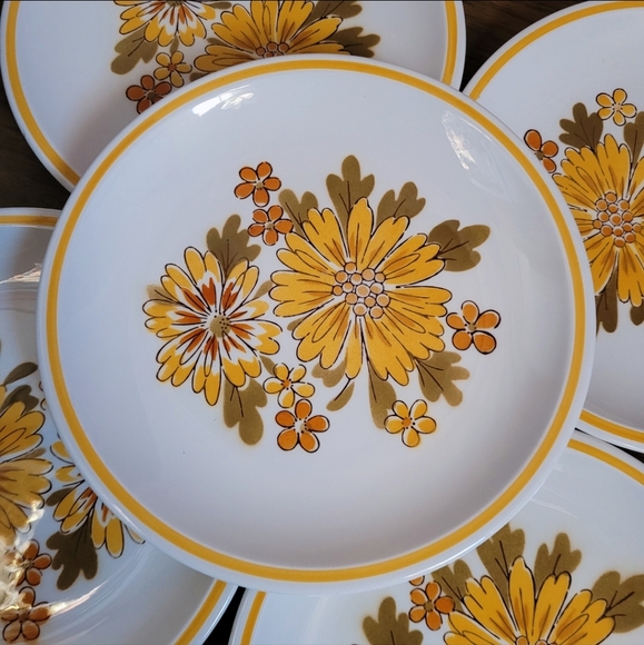 Vintage 70's Premiere dinner plates - Picture 4 of 6